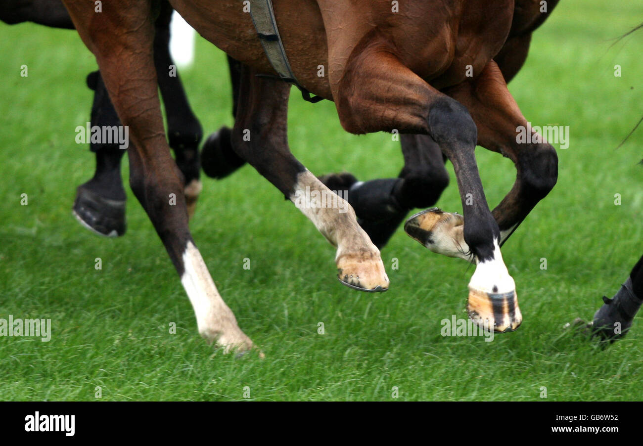 Pferderennen - Wetherby Racecourse. Eine Nahaufnahme der Hufe der Pferde während der Iveco Eurocargo Handicap-Verfolgungsjagd Stockfoto