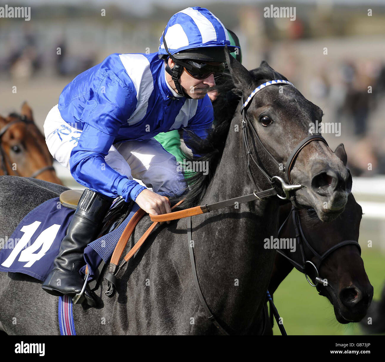 Pferderennen Sie - Champions - Day One - Newmarket Racecourse treffen Stockfoto