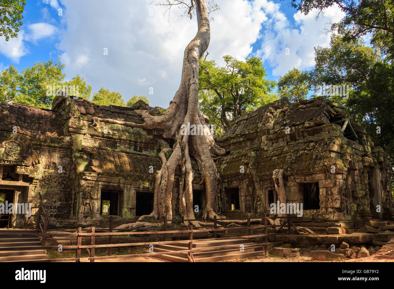 Ta Prohm Tempel, antike Architektur in Kambodscha Stockfoto