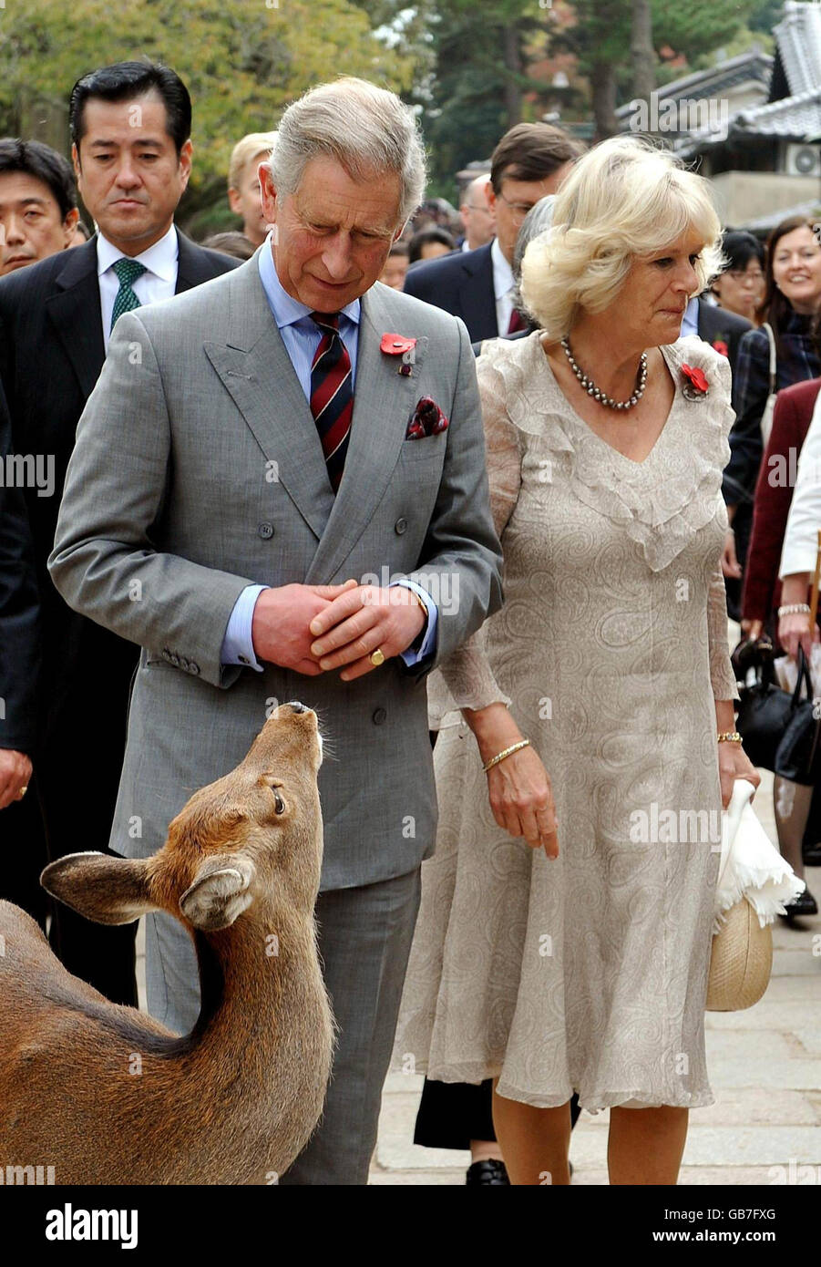 Der Prinz von Wales und die Herzogin von Cornwall kommen am Todai-ji Tempel an, wo sie von wilden Hirschen in der Nähe der Stadt Nara in Japan begrüßt wurden. Stockfoto