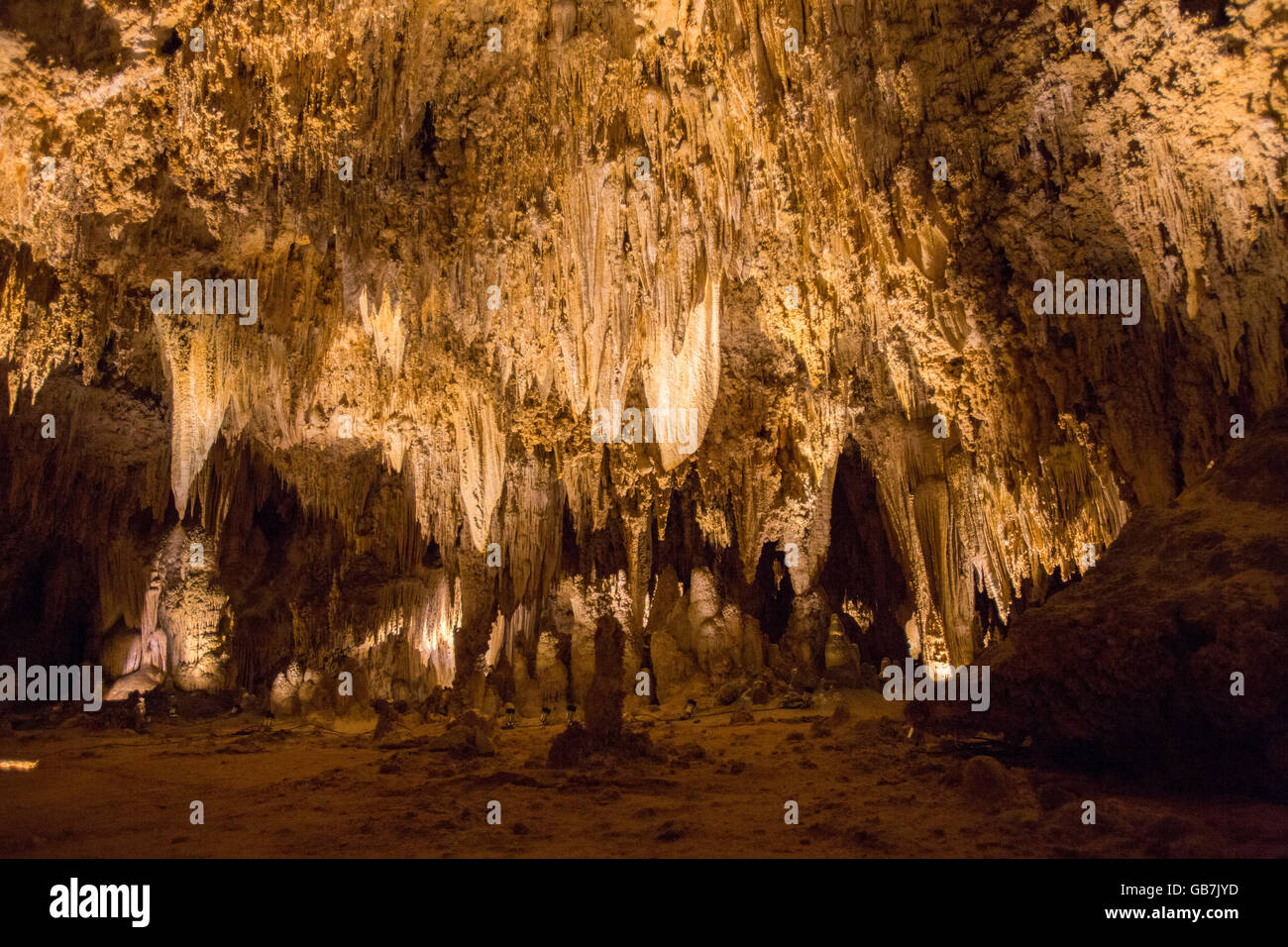 Carlsbad Caverns National Park, New-Mexico Stockfoto