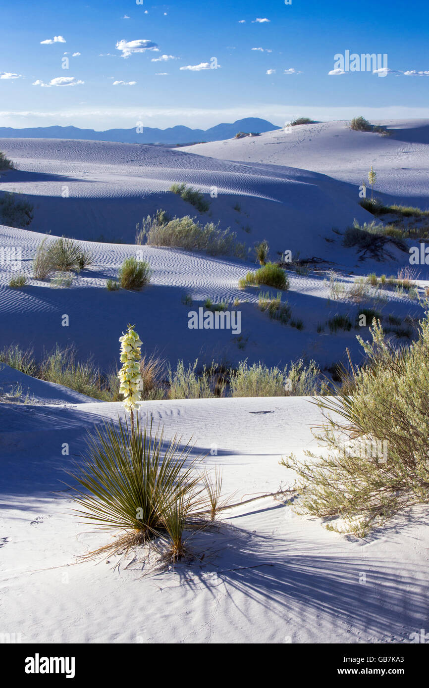 White Sands National Monument, New mexico Stockfoto