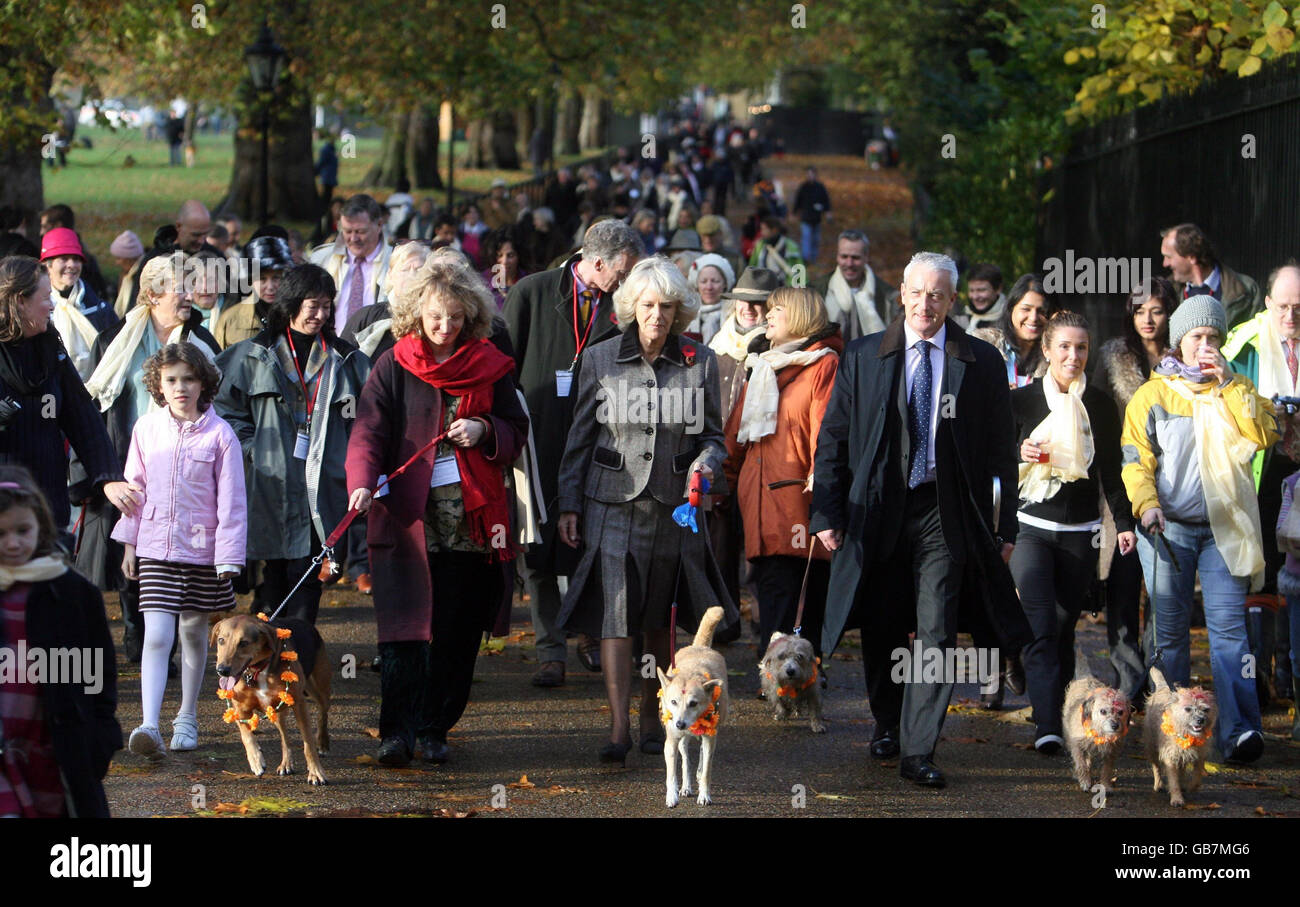 Die Herzogin von Cornwall spaziert Manila, einen Straßenhund, während einer Wohltätigkeitsfeier des nepalesischen 'Tag des Hundes' im Green Park in London. Stockfoto