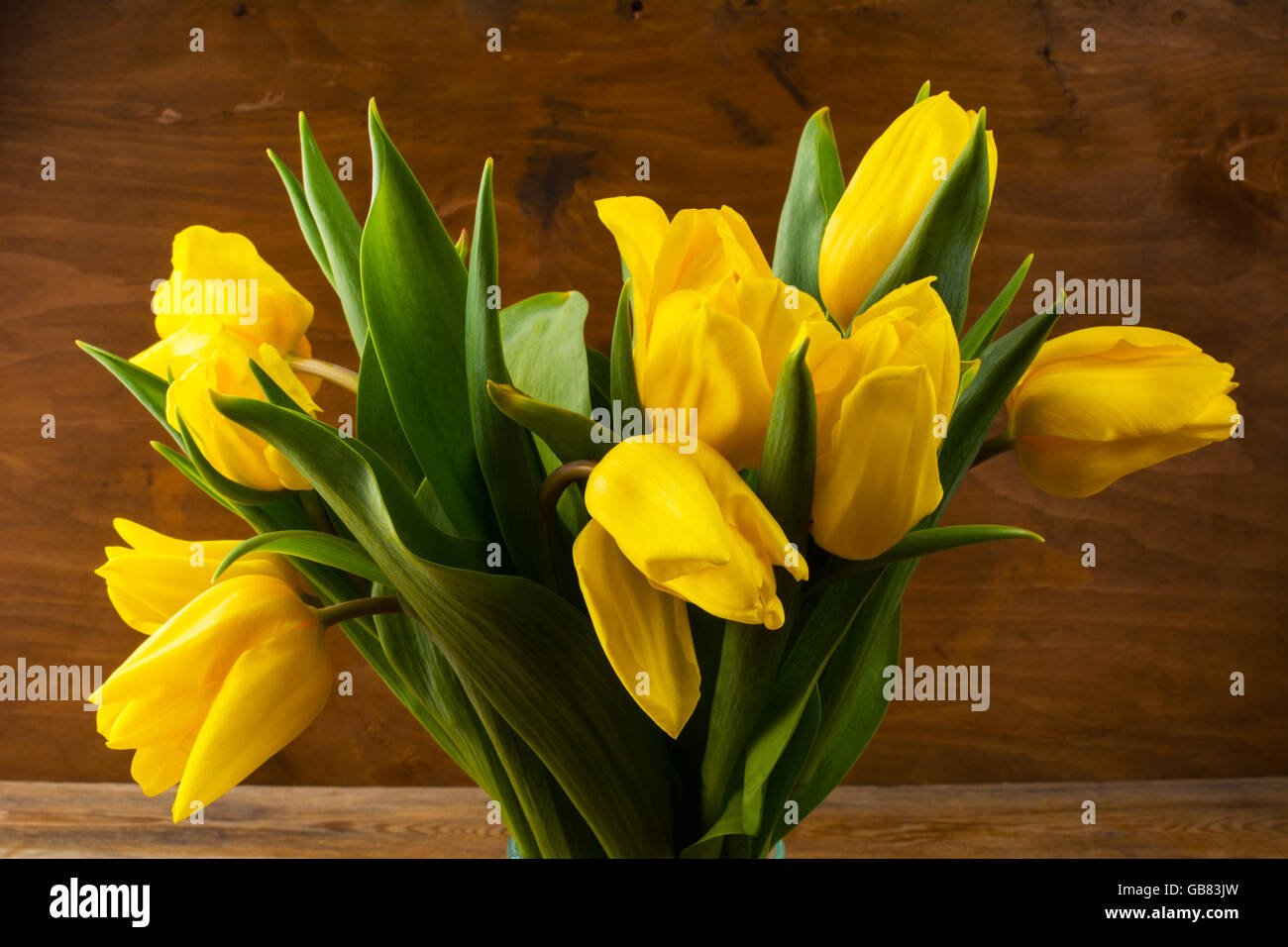 Gelbe Tulpen Bukett. Frühling Blumen. Blumen-Postkarte. Blumengrüße Stockfoto