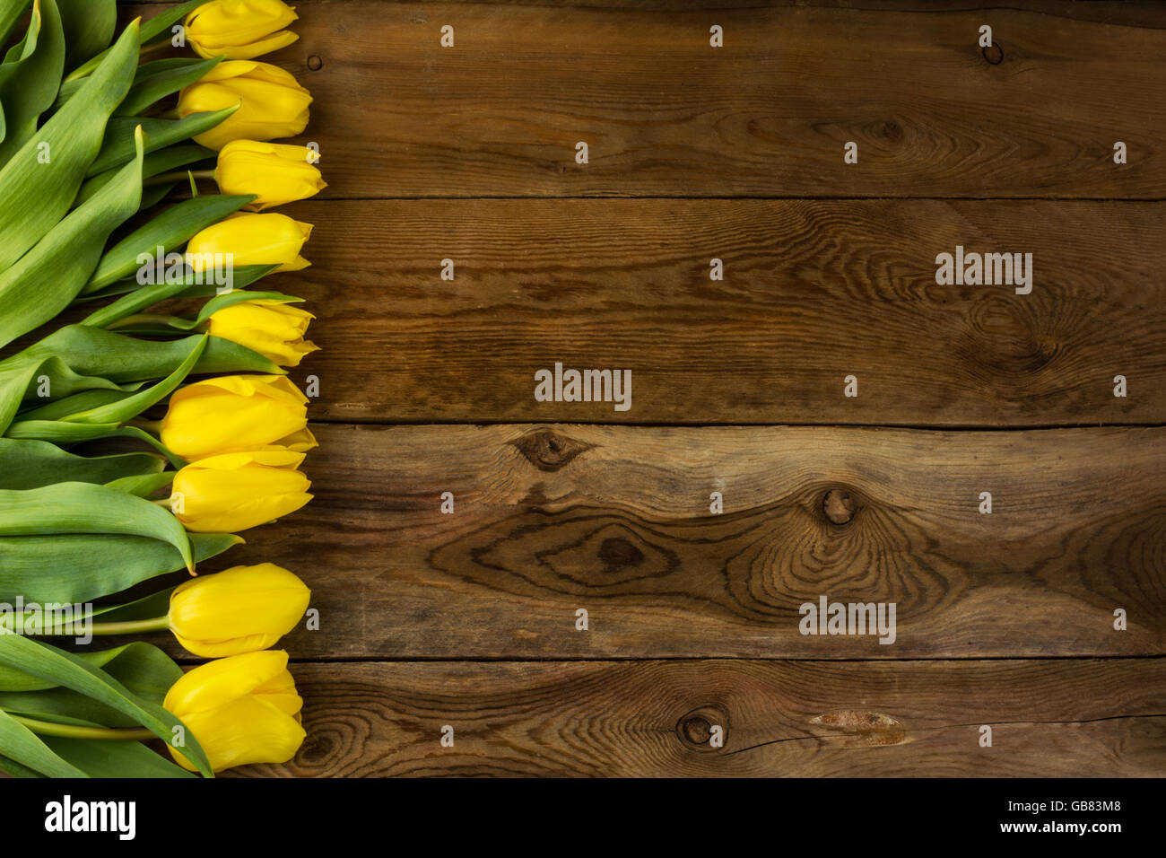 Gelbe Tulpen Haufen auf hölzernen Hintergrund. Frühling Blumen. Blumengrüße.  Blumen Postkarte Stockfoto