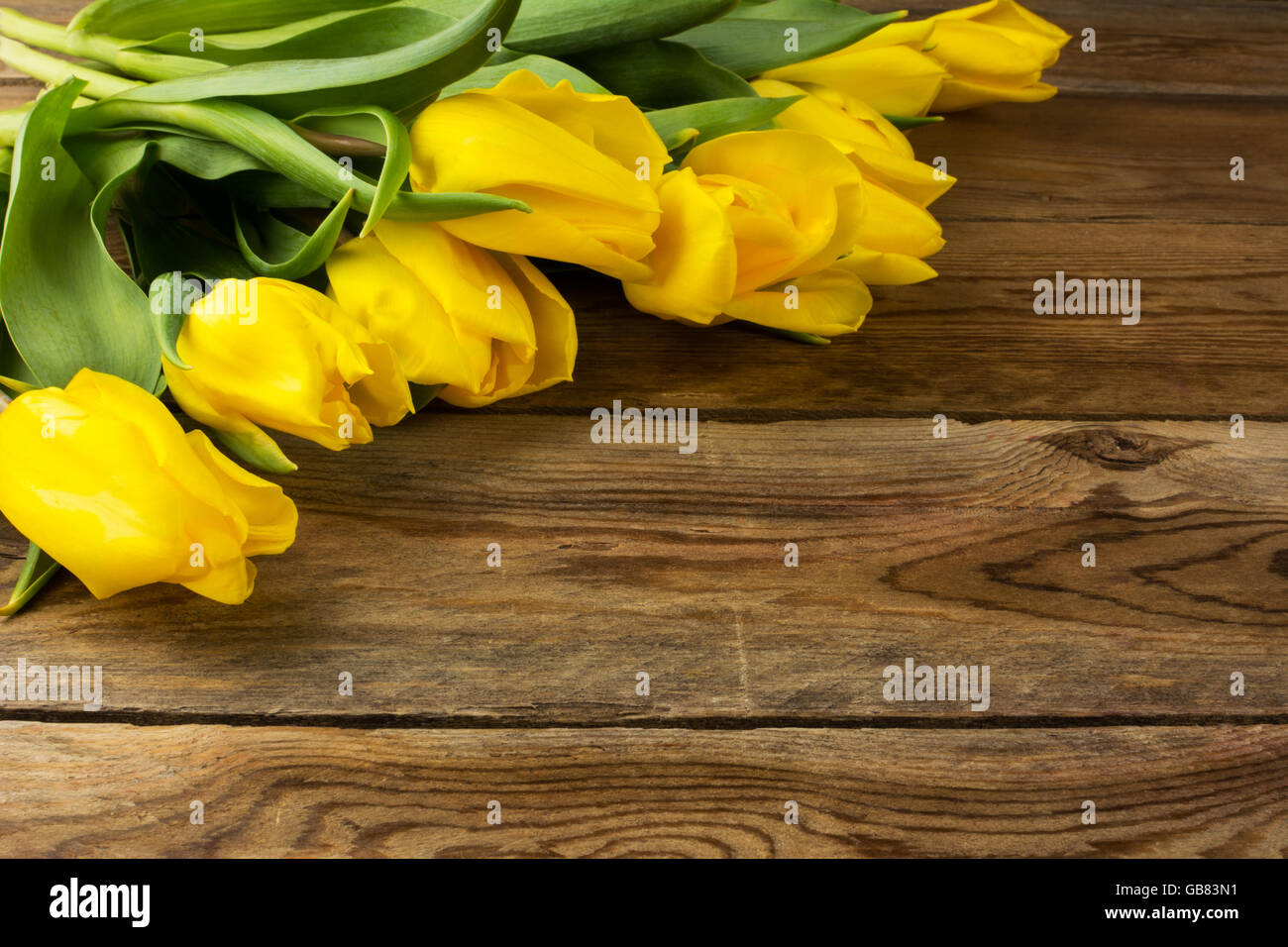 Gelbe Tulpen auf hölzernen Hintergrund. Frühling Blumen. Blumengrüße.  Blumen Postkarte Stockfoto