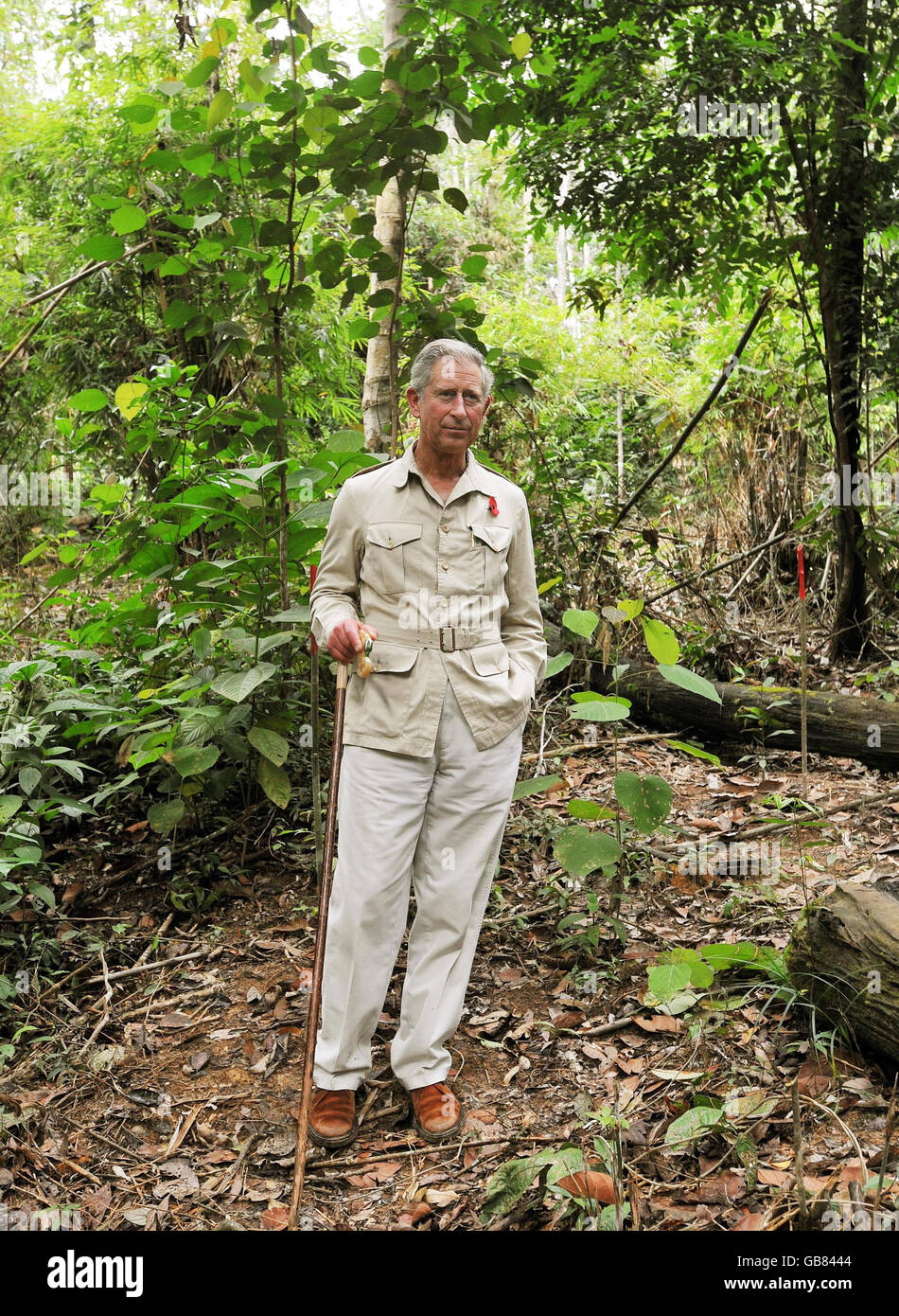 Der Prinz von Wales besucht den Harapan-Regenwald in Indonesien, um sich selbst einen Teil des Waldes anzusehen, der durch illegalen Holzeinschlag verloren gehen könnte. Stockfoto