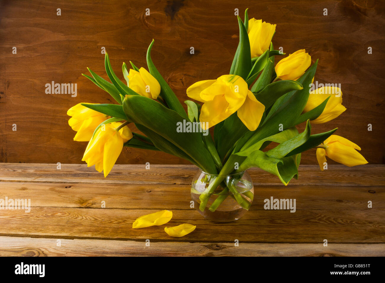 Gelbe Tulpen Frühlingsstrauß. Frühling Blumen. Blumen-Postkarte. Blumengrüße. Geburtstagskarte. Geburtstag-Hintergrund. Tulpen Stockfoto