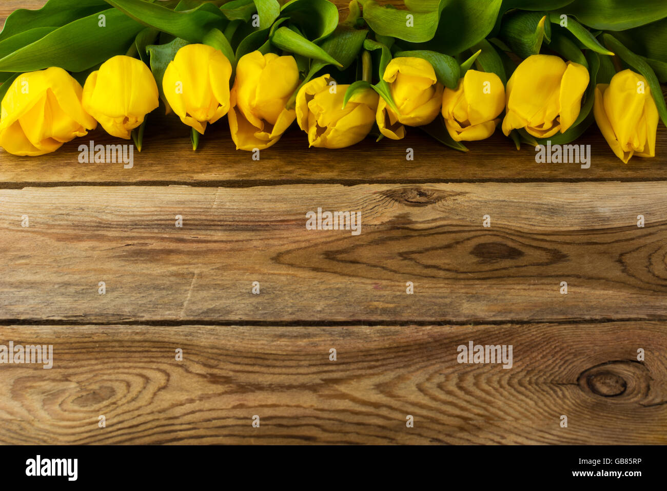 Reihe von gelben Tulpen auf hölzernen Hintergrund, Textfreiraum. Frühling Blumen. Blumen-Postkarte.  Blumengrüße Stockfoto
