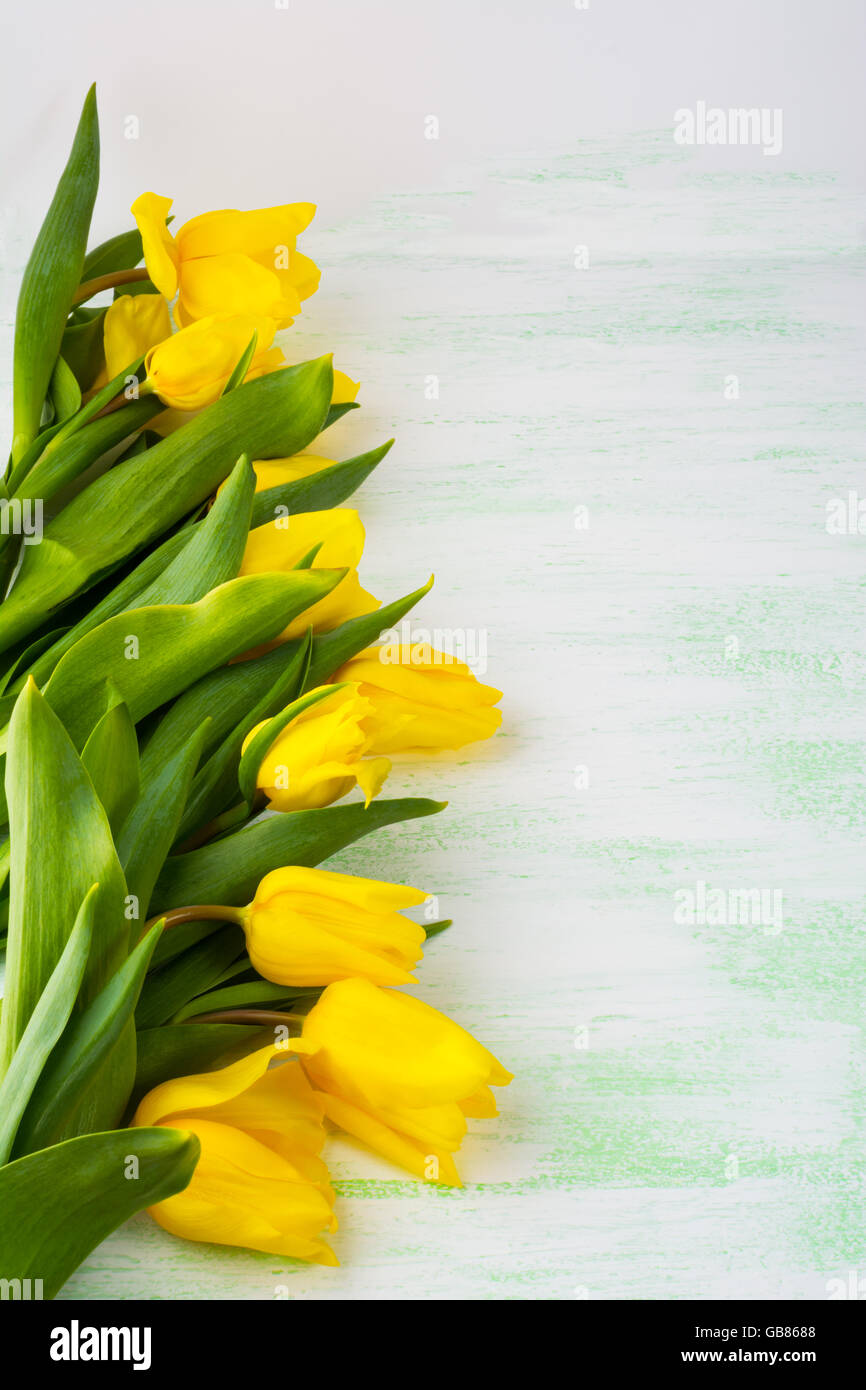 Reihe von gelben Tulpen auf hellgrünem Hintergrund, vertikal, Textfreiraum. Blumengrüße.  Blumen-Postkarte. Rahmen mit Blumen. Frühling Stockfoto