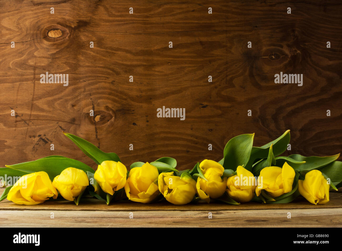 Reihe von gelben Tulpen auf hölzernen Hintergrund, Textfreiraum. Frühling Blumen. Blumengrüße.  Blumen Postkarte Stockfoto