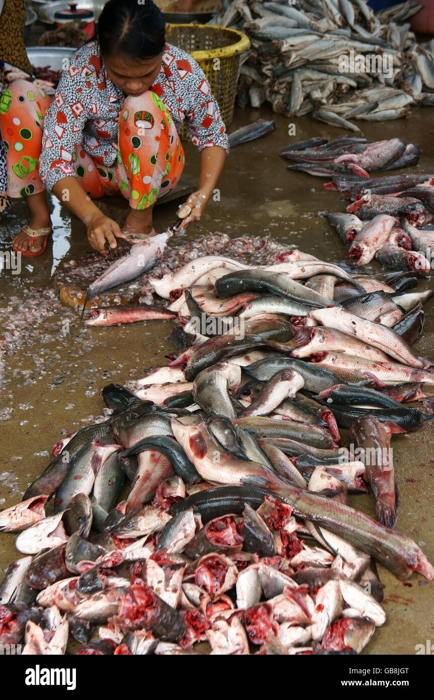 DONG THAP, VIET NAM-15 Nov.: Frauen hocken, Fisch Vorbereitung, Fisch in Stapeln auf Zementboden, skalieren und schneiden Sie Fisch vorbereiten Stockfoto