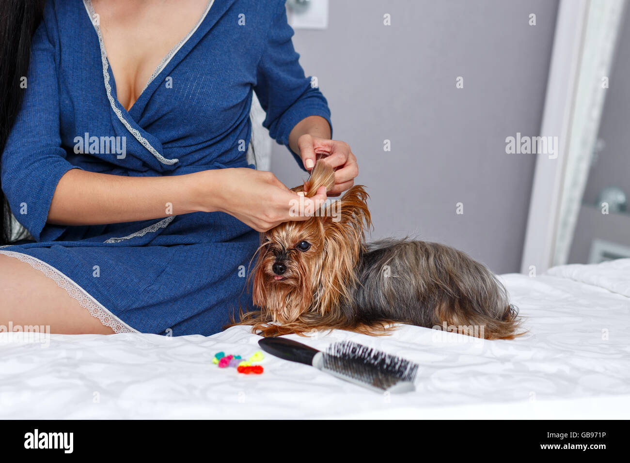 Madchen Frisur Yorkshire Terrier Zu Tun Haustier Nach Hause