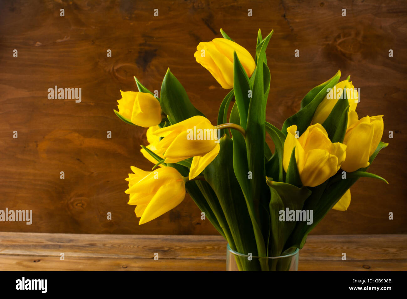 Schöne gelbe Tulpen Bukett. Frühling Blumen. Blumen-Postkarte. Blumengrüße. Geburtstagskarte. Geburtstag-Hintergrund. Stockfoto