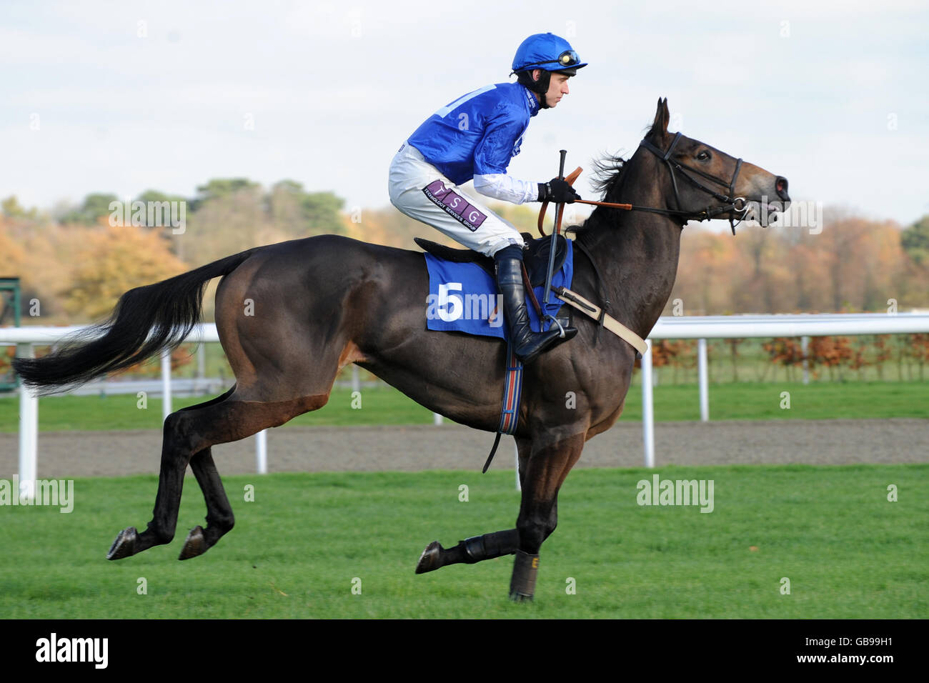 Pferderennen - Kempton Park Stockfoto