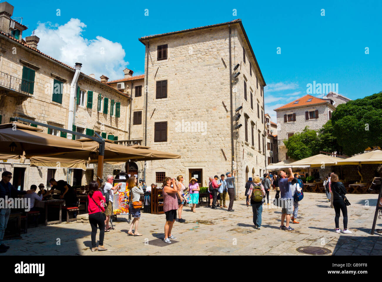 Menschen, die die Fotos von der Kathedrale, Trg Sv Tripuna, Starigrad, Altstadt, Kotor, Montenegro Stockfoto