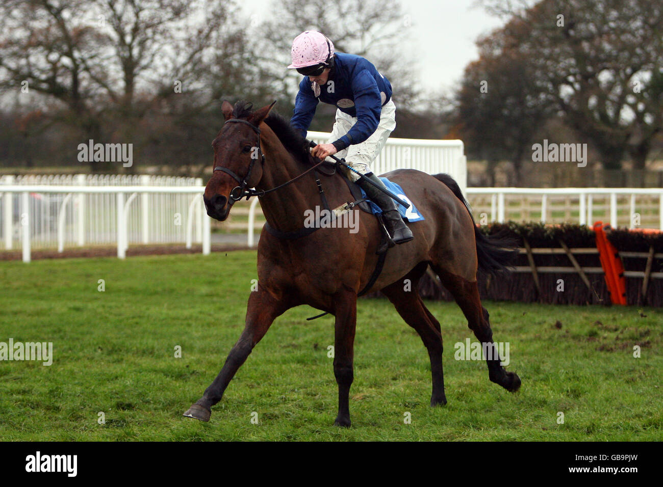 Commercial Vic, gefahren von Mr A E Kinirons während der Henry Simms Lebenslanges Rennen „National Hunt“ Stockfoto