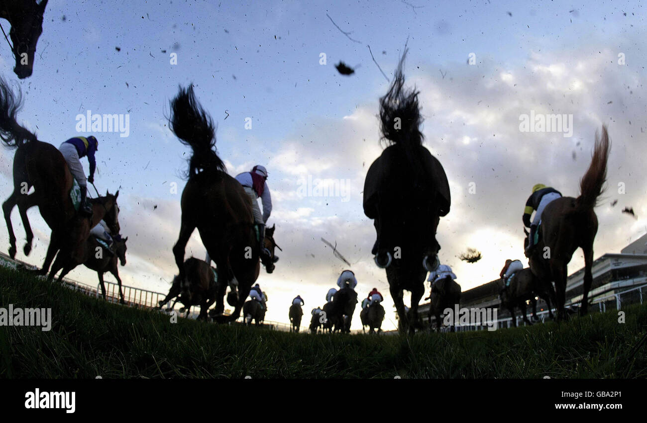 Pferderennen Sie - Paddy Power Day - Leopardstown Racecourse Stockfoto
