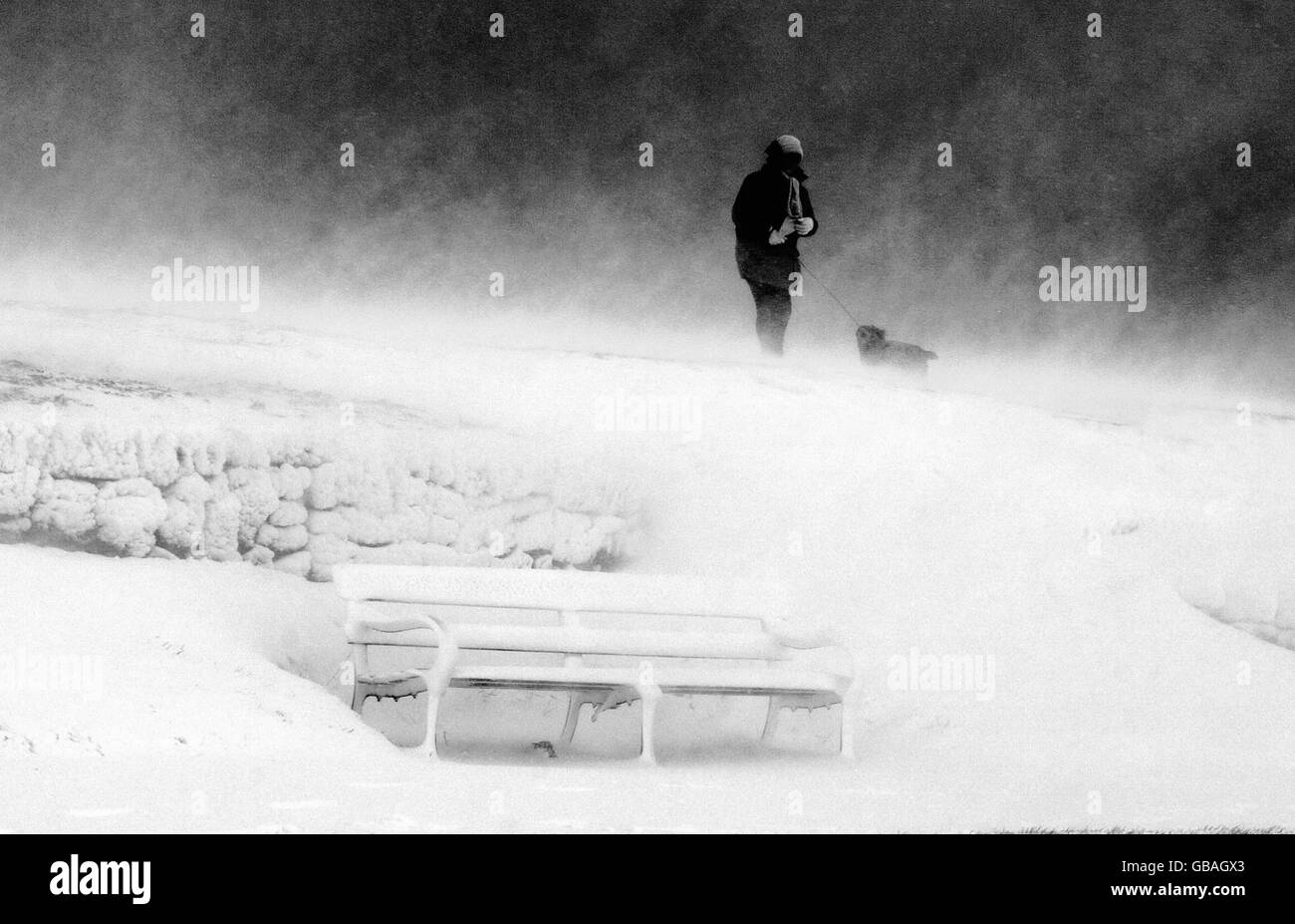 Schwere Schneestürme trafen den Nordosten, als eine Frau mit ihrem Hund in Whitley Bay kämpft. Stockfoto