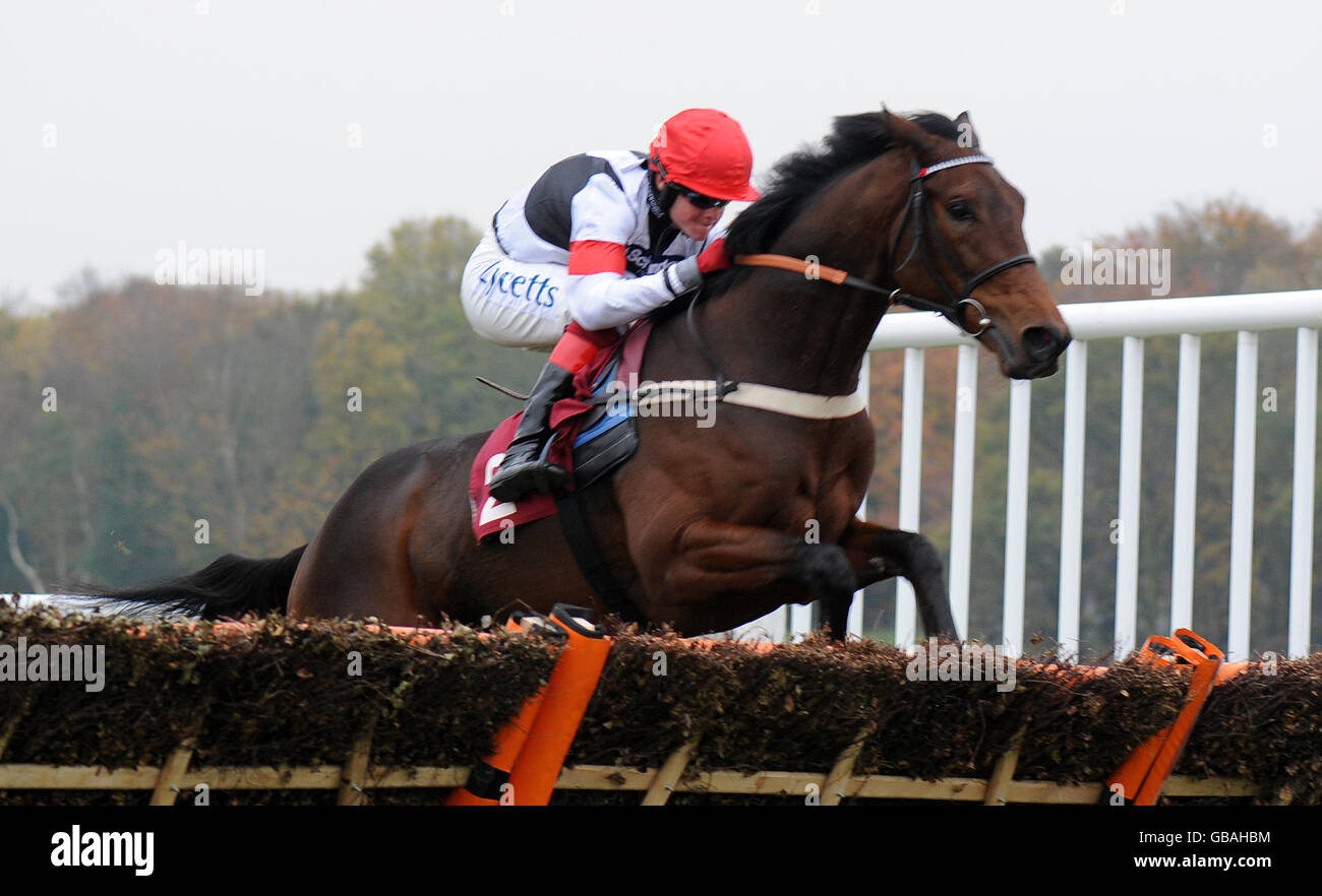 Pferderennen - Welfare Raceday - Haydock Park. Robert Thornton über Balzacio auf dem Weg zum Sieg der bet365 Best Odds Juvenile Novices Hürde Stockfoto