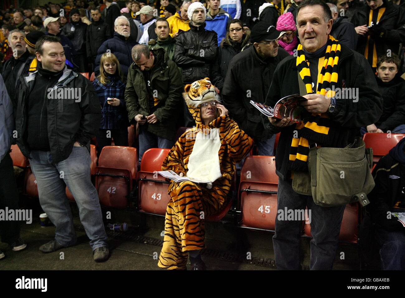 Fußball - Barclays Premier League - Liverpool gegen Hull City - Anfield. Ein Hull City Fan, der als Tiger auf den Ständen gekleidet ist Stockfoto