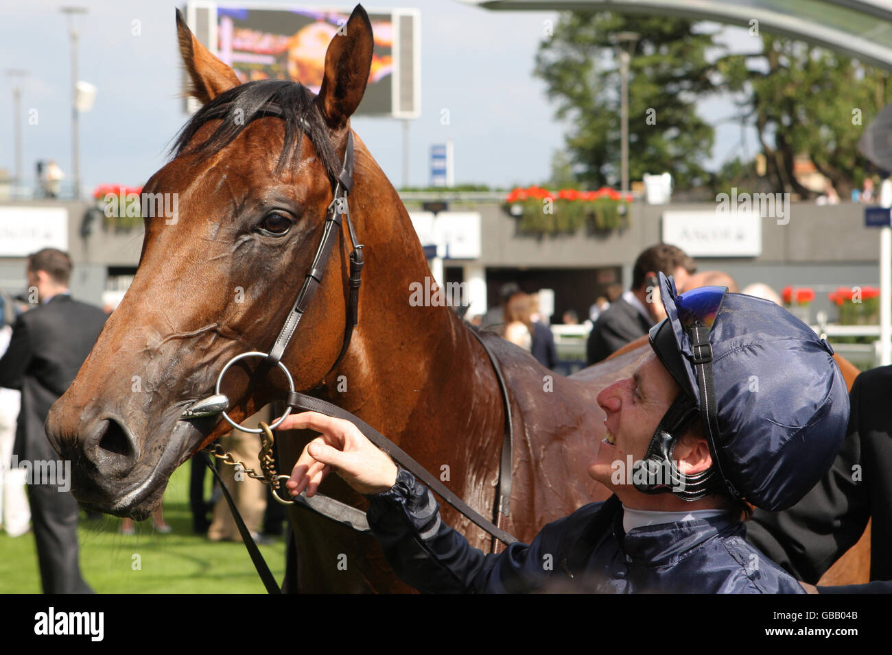 Pferderennen Sie - King-George-Tag - Ascot Racecourse Stockfoto