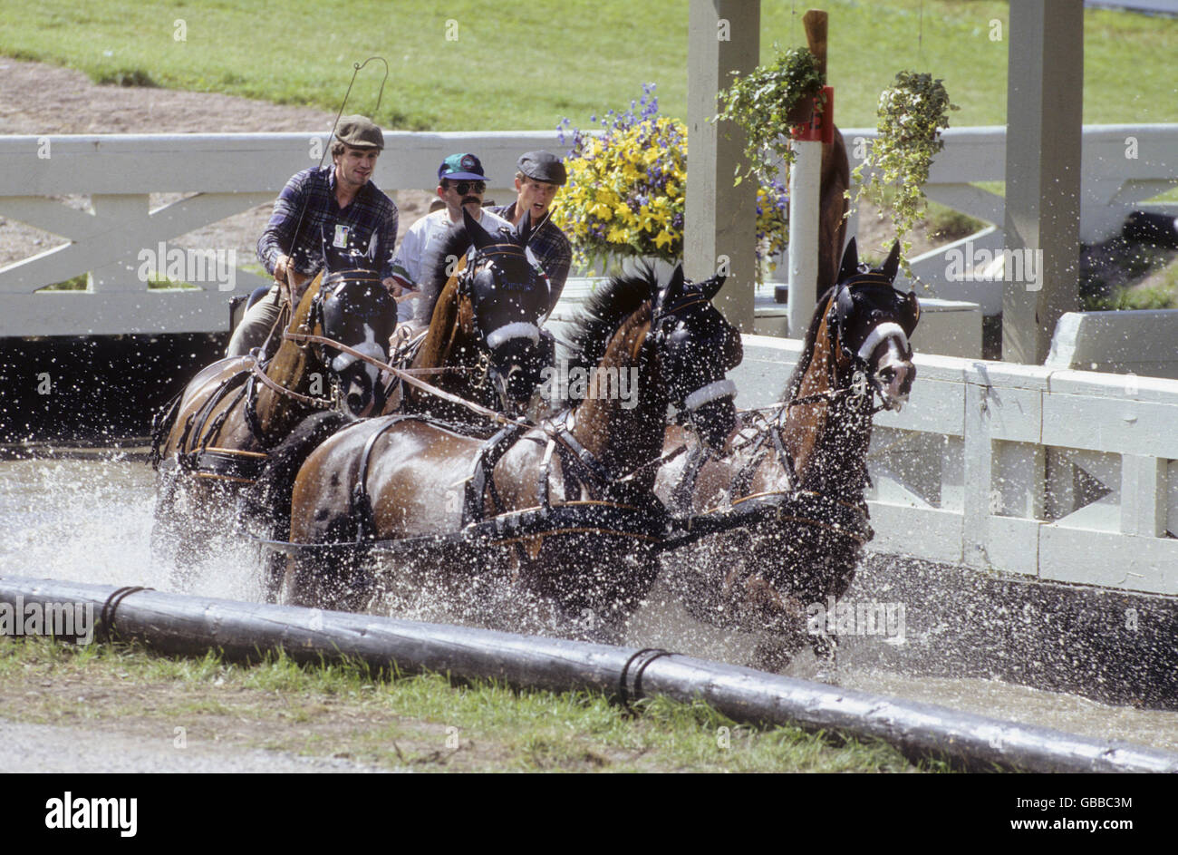 THOMAS ERIKSSON schwedische vier Pferde treibende marathon Stockfoto