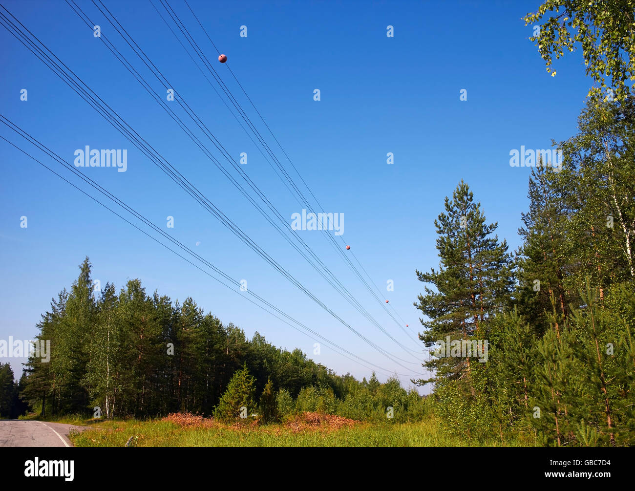 Elektrische Leitung mit Vogel-Flug-Separatoren, Finnland Stockfoto