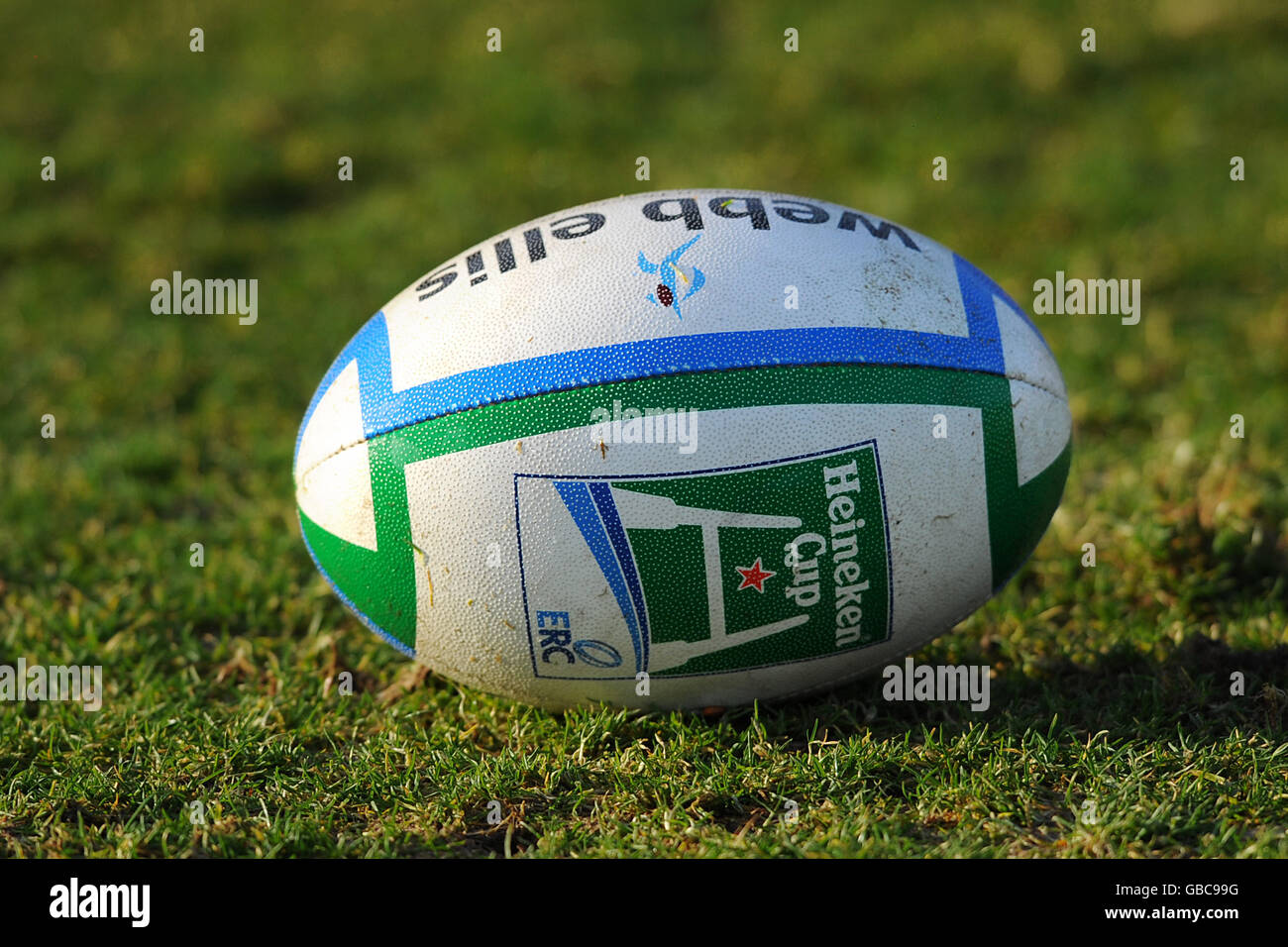 Rugby-Union - Heineken Cup - Pool 5 - Glasgow Warriors V Newport Gwent Drachen - Firhill Arena Stockfoto