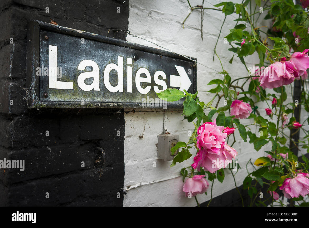 Zeichen, die als Wegweiser auf der Damen Toilette in einen Garten für die Öffentlichkeit zugänglich Stockfoto