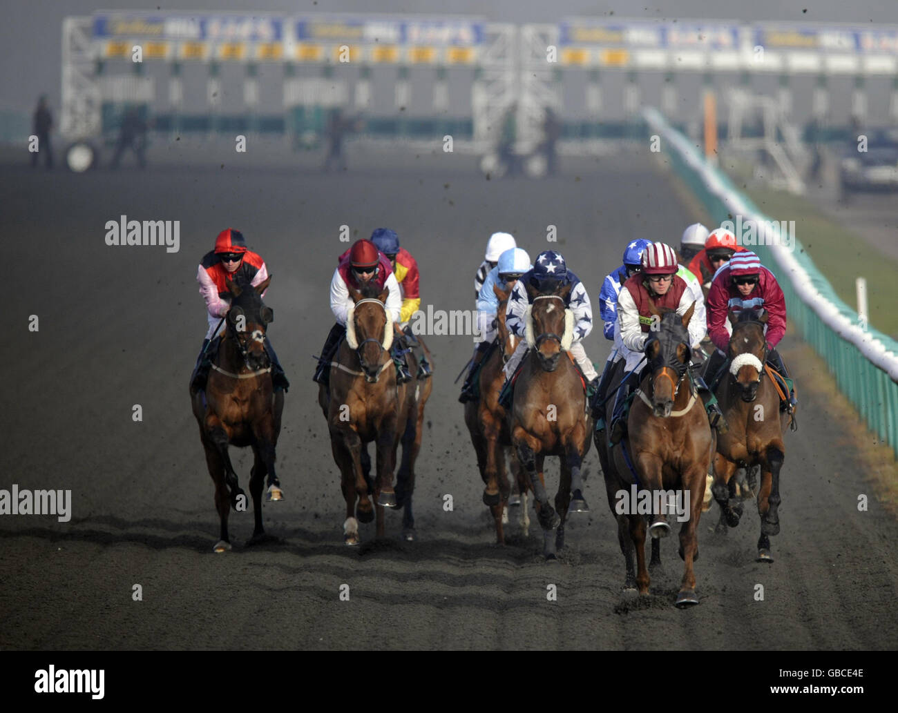 Pferderennen - Lingfield Park Rennbahn Stockfoto