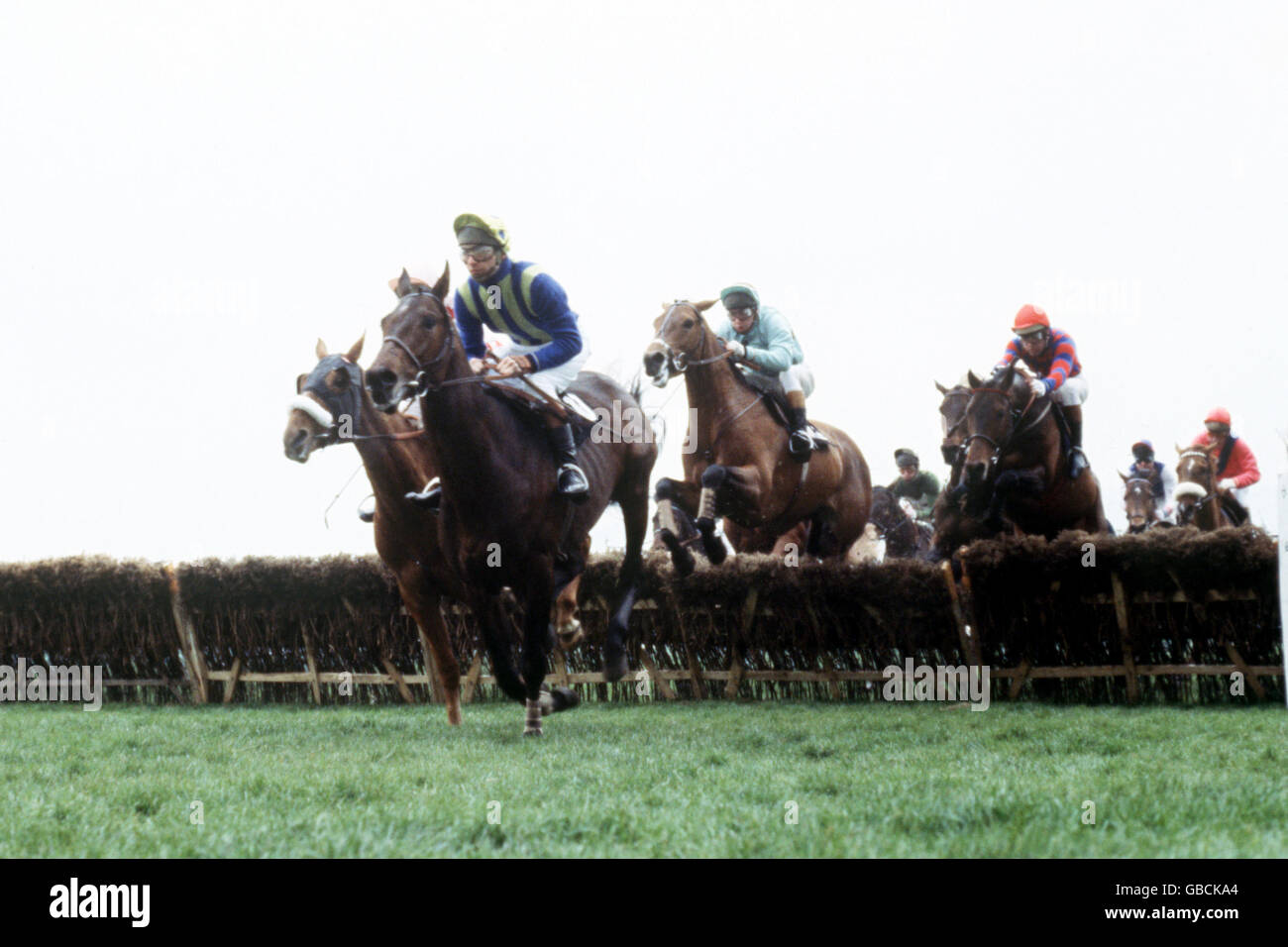 Rodman (zweites l), John Francome up, führt von Pollerton (l), Steve Smith-Eccles up, und Connaught Ranger (drittes l), John Burke up Stockfoto