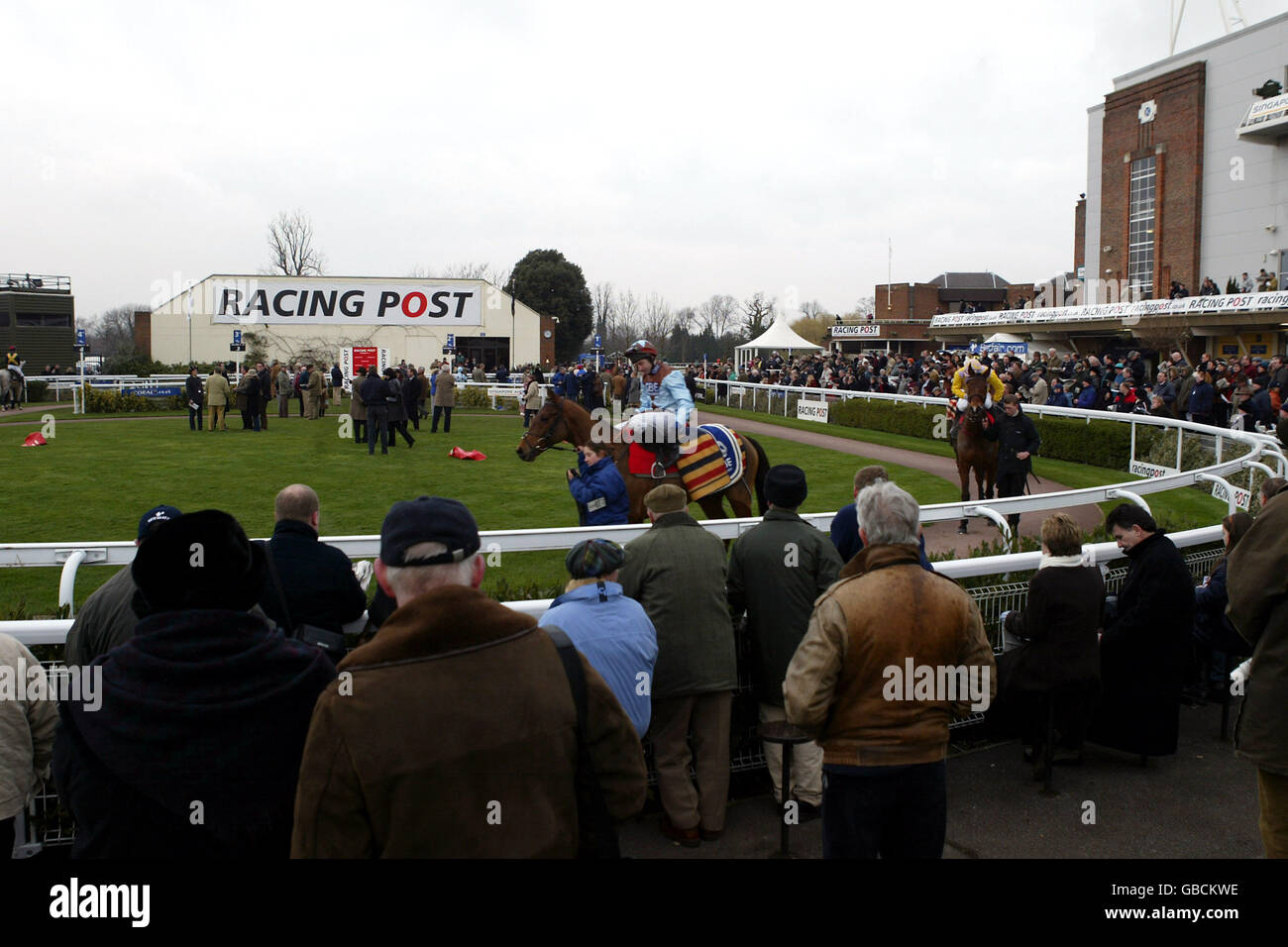 Pferderennen - Kempton Park - Racing Post Chase Day. Renngänger beobachten die Pferde im Paradering Stockfoto