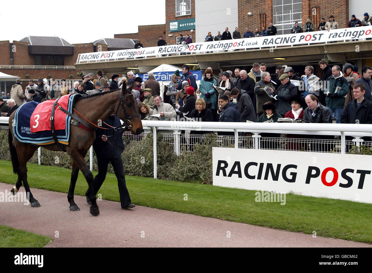 Pferderennen - Kempton Park - Racing Post Chase Day. Vor dem Rendlesham Hurdle Race betfair.com wird ein weiterer Elch um den Paradering geführt Stockfoto