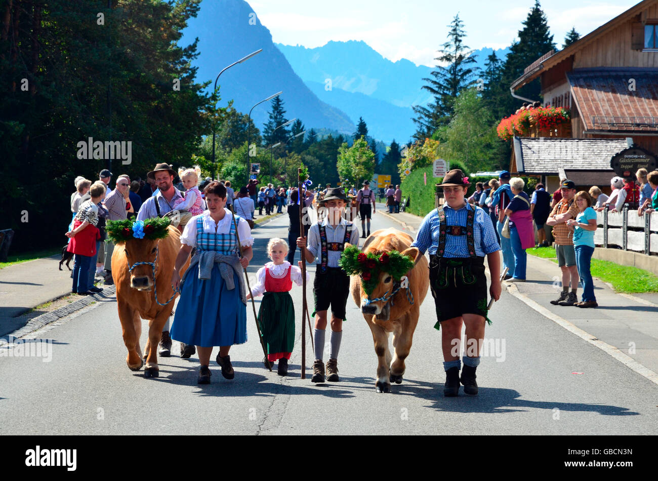 Japanologin, Tradition, Kuh, Geschmueckt, Almabtrieb, Bayern, Oberbayern, Isartal, Deutschland Stockfoto