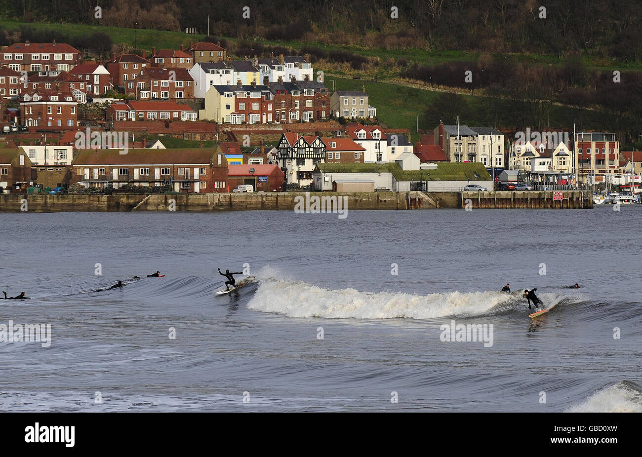 Surft an der Ostküste, während Surfer die perfekten Bedingungen in Scarborough genießen, um auf den Wellen zu reiten. Stockfoto