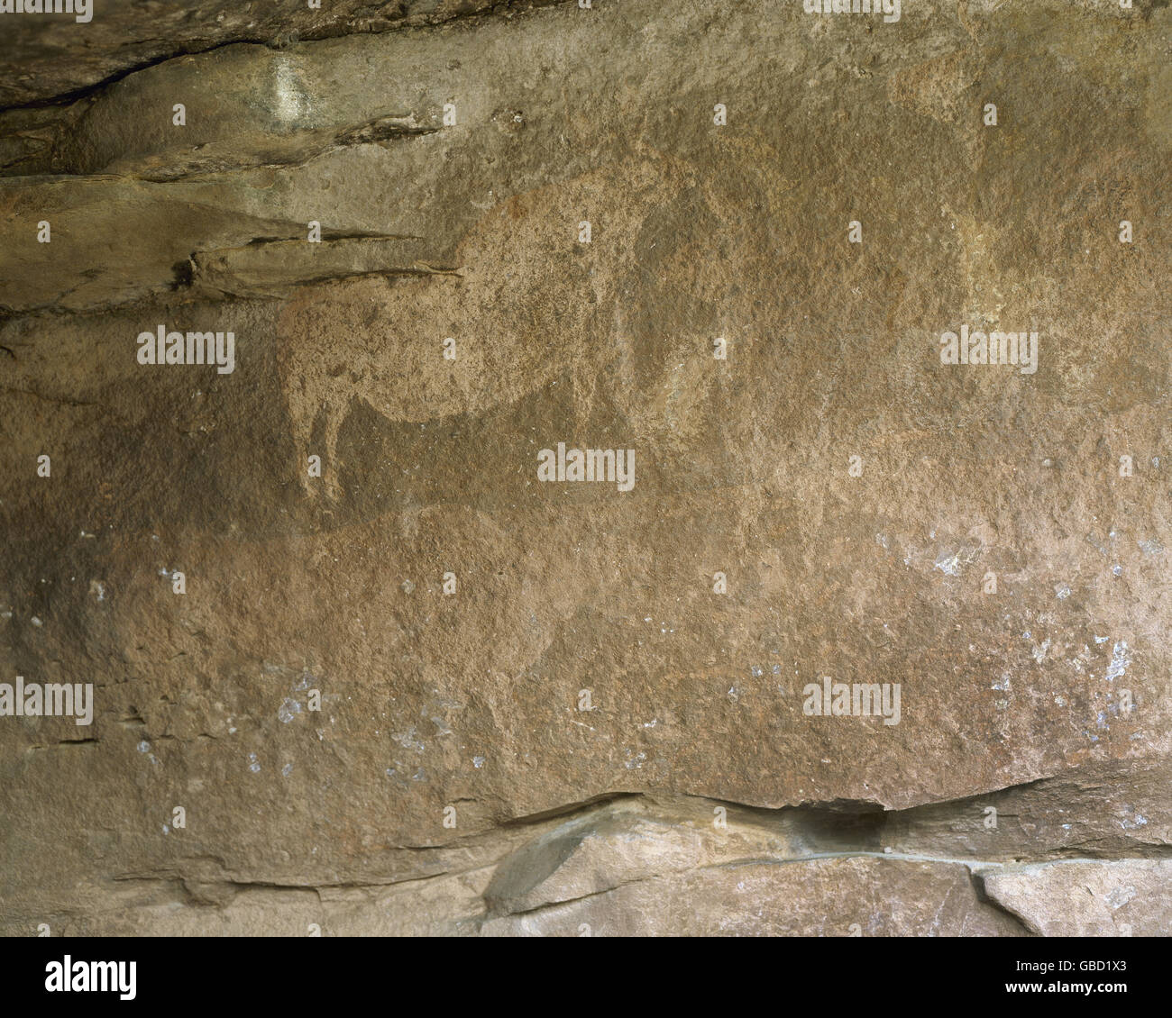 Urgeschichte. Frühen Neolithikum (7000-6000 v. Chr.). ALBARRACIN Kulturpark. Schutz der Cocinilla del Obispo. Das Hotel liegt im Prado Navazo (oder Callejon del Plou). Levantine Felskunst. schwarze und weiße, rote Farben. Darstellung von Rindern. Mountain Range von Albarracin. Provinz Teruel. Aragon. Spanien. Stockfoto