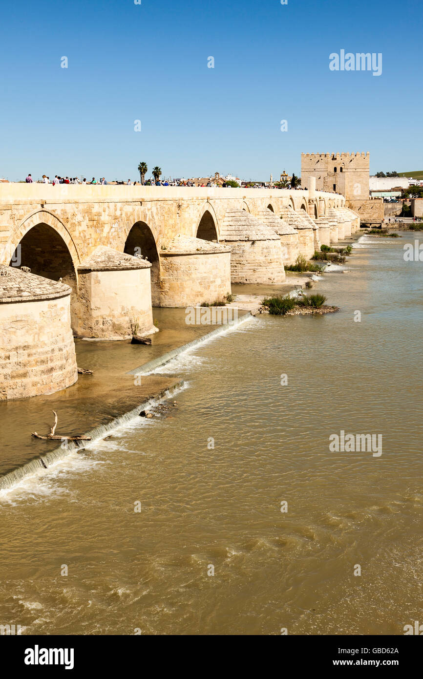 Hunderte von Touristen auf die alte römische Brücke überqueren des Flusses Guadalquivir in Córdoba, Andalusien, Spanien Stockfoto