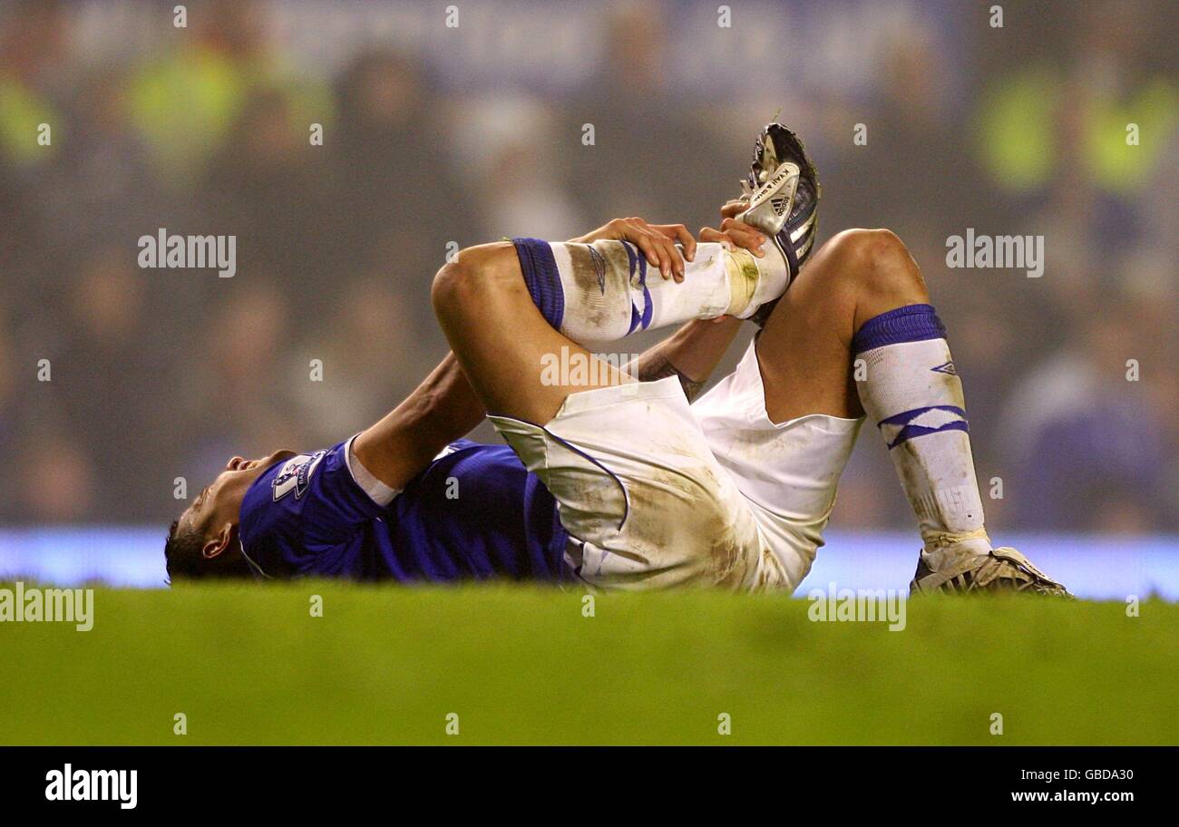 Fußball - Barclays Premier League - Everton / Arsenal - Goodison Park. Evertons Tim Cahill auf dem Spielfeld, nachdem er während einer Herausforderung mit Emmanuel Adebayor von Arsenal verletzt wurde. Stockfoto