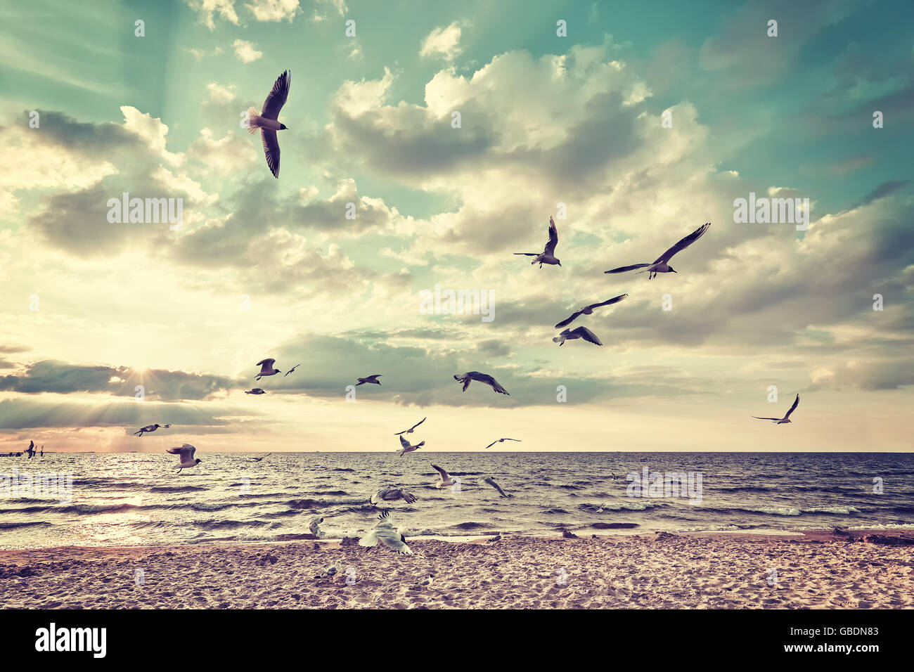 Retro-stilisierte Strand mit fliegenden Vögel bei Sonnenuntergang. Stockfoto