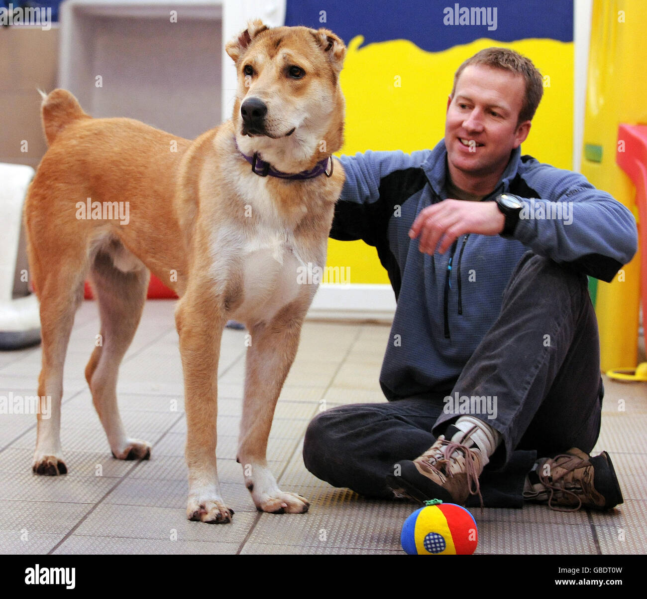 Der ehemalige Royal Marine Penny Farthing mit Bear, 1, einem Welpen, der vor dem Hundekampf in Afghanistan gerettet wurde, während seiner Ankunft im Mayhew Animal Home im Nordwesten Londons. Stockfoto