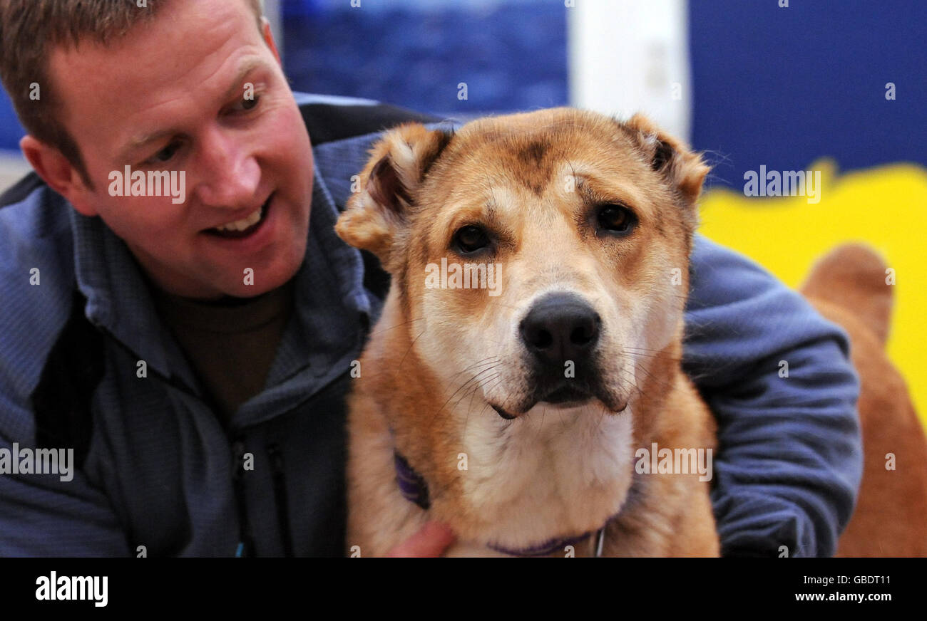 Der ehemalige Royal Marine Penny Farthing mit Bear, 1, einem Welpen, der vor dem Hundekampf in Afghanistan gerettet wurde, während seiner Ankunft im Mayhew Animal Home im Nordwesten Londons. Stockfoto