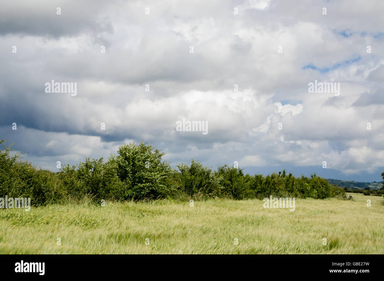 Yeovilton stürmischen Landschaft Juli 2016 Stockfoto