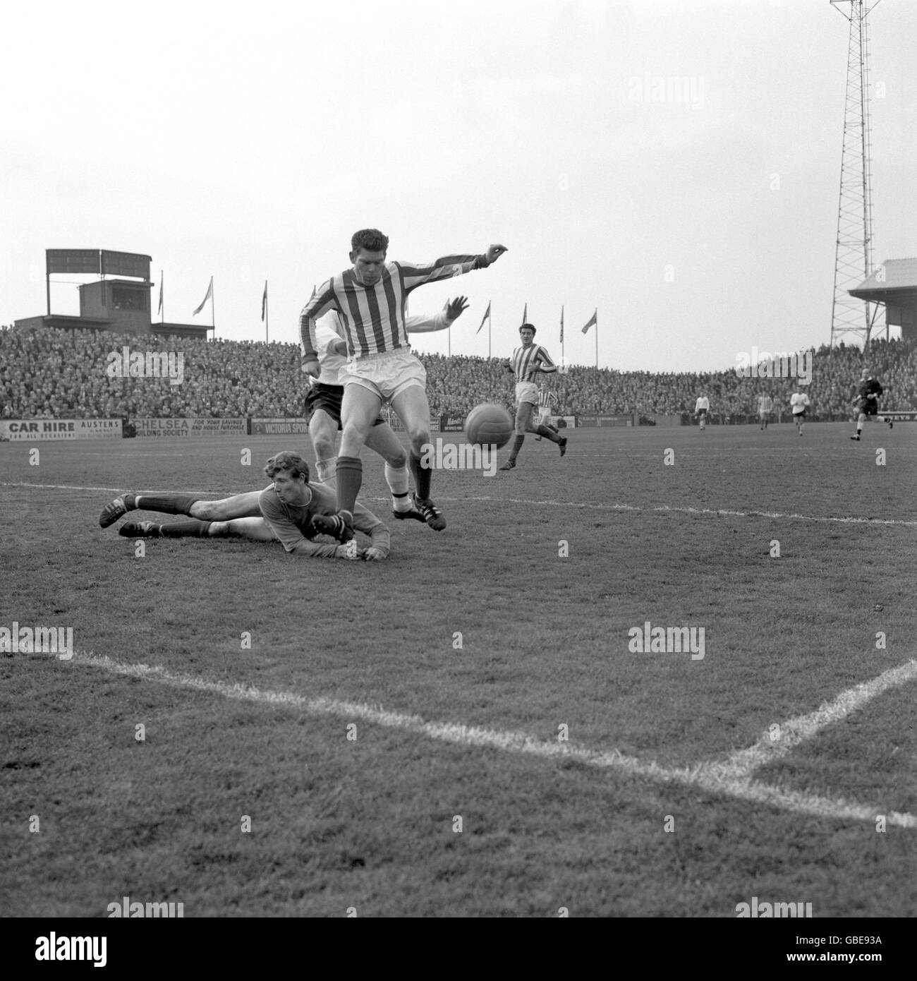 Ein zweiter voller Rücken ist der in Liverpool geborene Len Ashurst aus Sunderland, der hier abgebildet ist, als er den Ball in einem sehr entschlossenen und defensiven Geisteszustand freigibt. Stockfoto