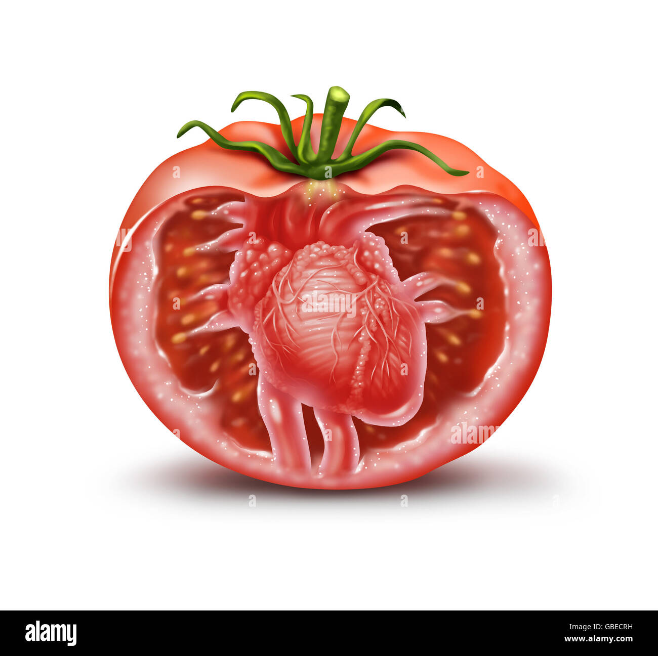 Tomaten Gesundheit medizinische Herzsymbol als Obst und Gemüse im Gesundheitswesen Symbol für natürliches Antioxidans und Herz-Kreislauf-Nahrungsergänzung zur Vermeidung von Herzinfarkten und Schlaganfällen reich an Lycopin und Carotinoide in eine 3D Darstellung Stil. Stockfoto
