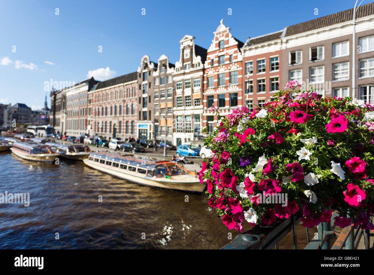 Beet mit Blumen im Hintergrund Amsterdam Stadtarchitektur Stockfoto