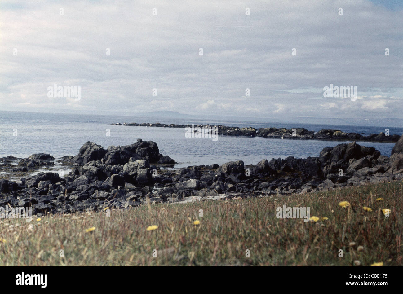 Geographie / Reisen, Island, Landschaft an Land, 1957, Zusatz-Rechte-Clearences-not available Stockfoto