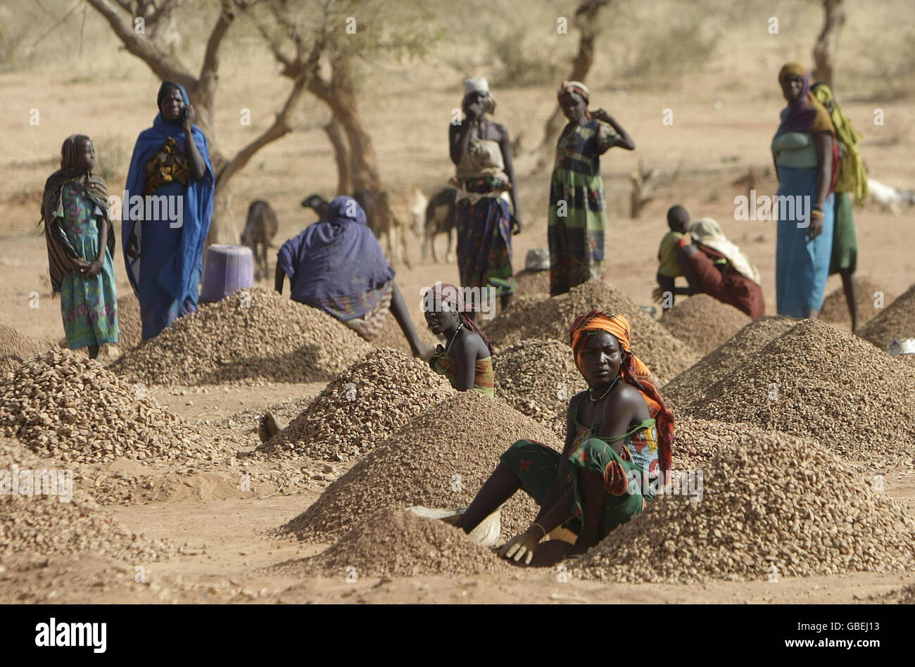 Frauen brechen Steine in der Nähe der Stadt Goz Beida im Tschad, die im Rahmen ihrer laufenden EUFOR-Friedensmission unter dem Schutz irischer Truppen steht. Stockfoto