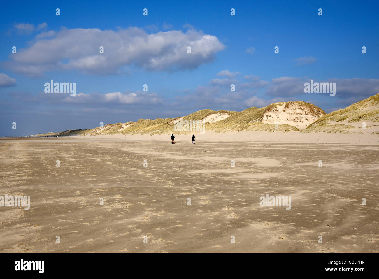 Strand, Dünen, Egmond Aan Zee, Egmond, Nordholland, Niederlande / Holland Stockfoto