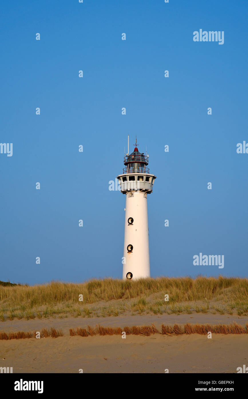Leuchtturm, Dünen, Egmond Aan Zee, Egmond, Nordholland, Niederlande / Holland Stockfoto